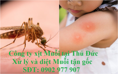 Công ty xịt Muỗi tại Thủ Đức   Xử lý và diệt Muỗi tận gốc