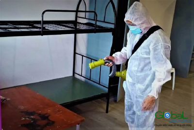 Dịch vụ diệt côn trùng tại nhà - Dịch vụ diệt côn trùng giá rẻ