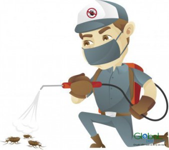 Các phương pháp kiểm soát côn trùng dịch hại hiệu quả hiện nay