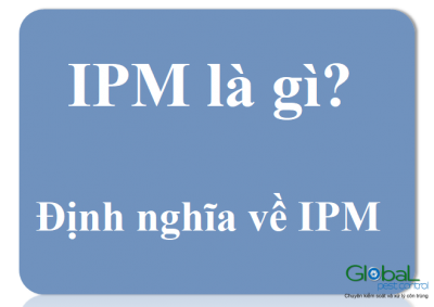 ipm là gì