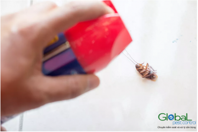Top 10 cách giúp bạn xử lý côn trùng có thể làm tại nhà