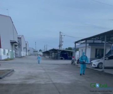 Dịch vụ phun diệt Muỗi dành cho nhà máy, kho xưởng sản xuất...