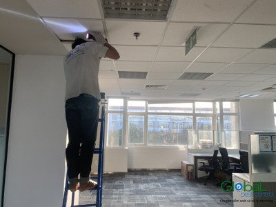 Phải làm gì khi Văn phòng Công ty của bạn đang có Chuột phá hoại