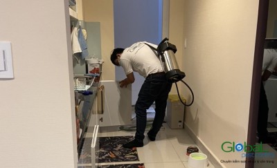 Làm thế nào để xử lý và diệt gián trong tủ bếp, nhà bếp?