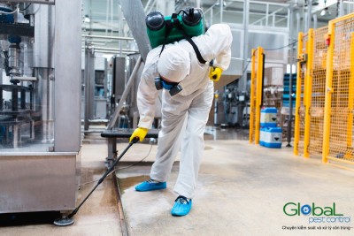 công ty diệt côn trùng vinapest (8)