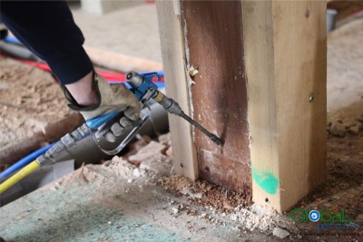 Dịch vụ diệt mối tận gốc   Khử Trùng Toàn Cầu (1)