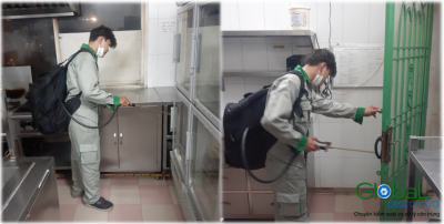 Những biện pháp phòng chống muỗi hiệu quả trong mùa mưa