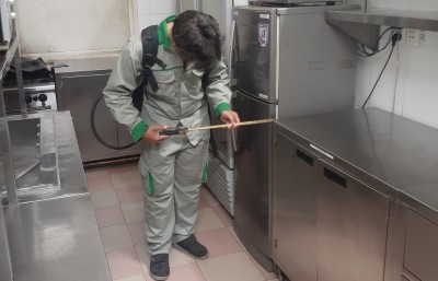 Tìm hiểu về thông tin sinh sản của Gián đức và cách diệt chúng