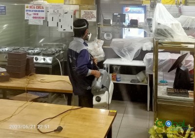 Những nguyên nhân khiến cho khu vực của bạn có muỗi xâm nhập