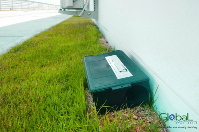 Dịch vụ kiểm soát chuột cho nhà máy theo tiêu chuẩn ISO tại Công ty Khử Trùng Toàn Cầu