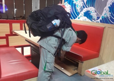 Dịch vụ diệt côn trùng   Khử Trùng Toàn Cầu (10)
