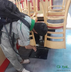 Dịch vụ diệt côn trùng   Khử Trùng Toàn Cầu (11)