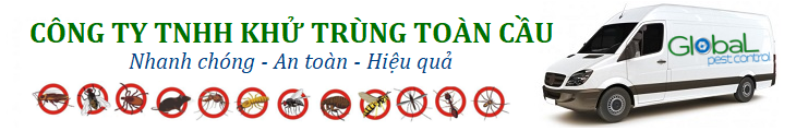 khử trùng toàn cầu