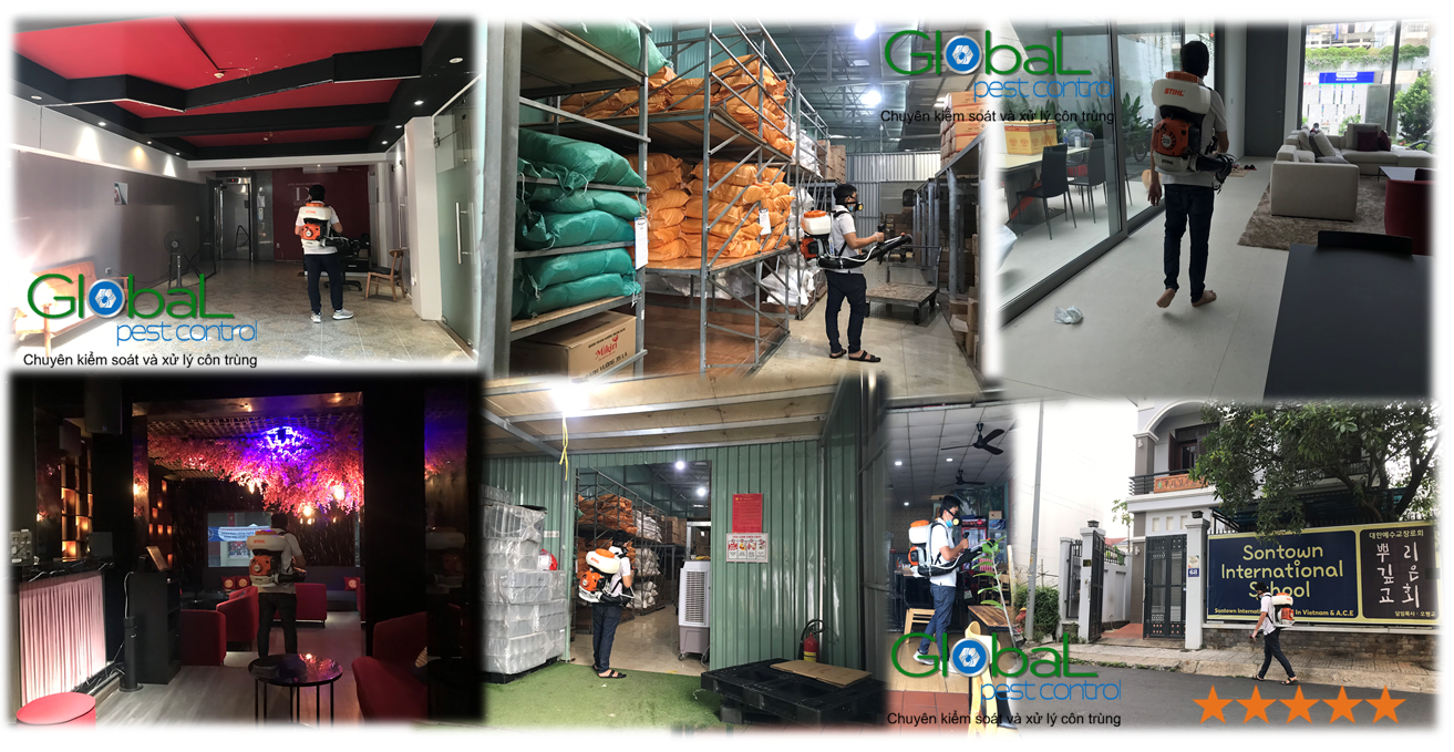 Dịch vụ phun thuốc khử trùng Phòng chống dịch hại trong khu vực