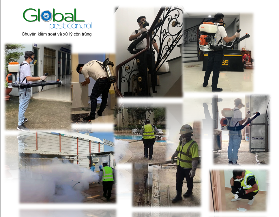 Dịch vụ diệt côn trùng - Xử lý và diệt côn trùng tận gốc