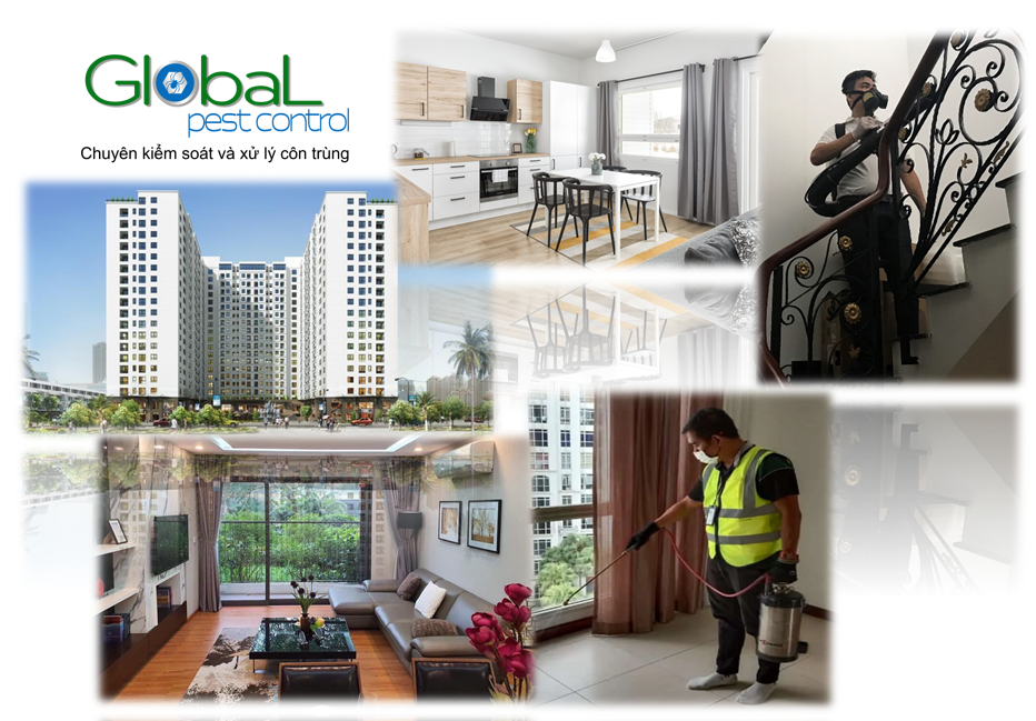 Dịch vụ diệt côn trùng tại nhà ở, căn hộ, chung cư, nhà riêng