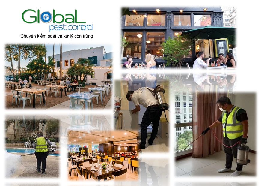 Diệt côn trùng tại Nhà hàng, Dịch vụ diệt côn trùng tổng hợp
