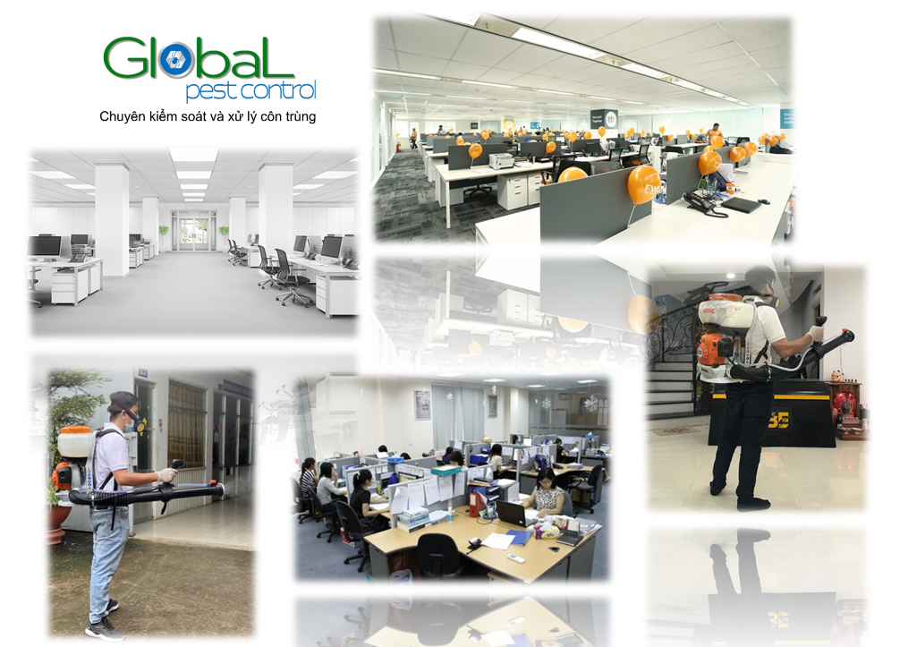Dịch vụ diệt côn trùng tại văn phòng, tòa nhà, nơi làm việc