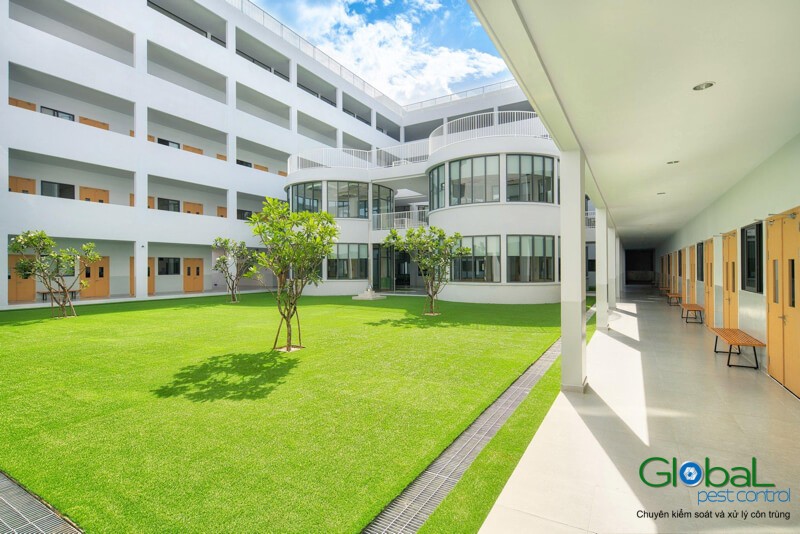Dịch vụ diệt côn trùng tại trường học, trung tâm đào tạo