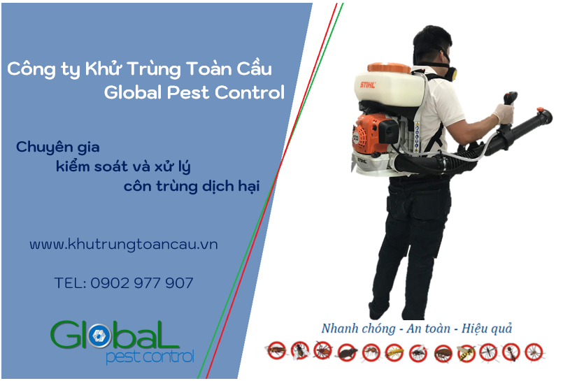 dịch vụ diệt côn trùng