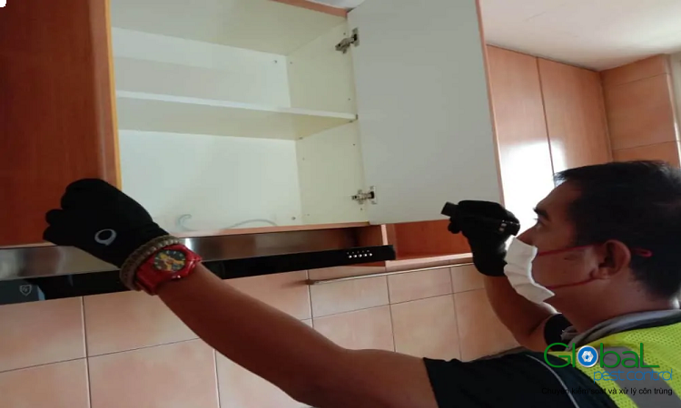 Dịch vụ pest control Khử trùng Toàn Cầu (2)