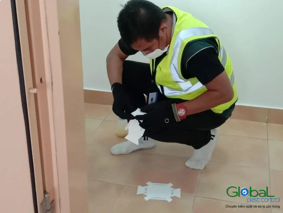 Dịch vụ pest control Khử trùng Toàn Cầu (3)