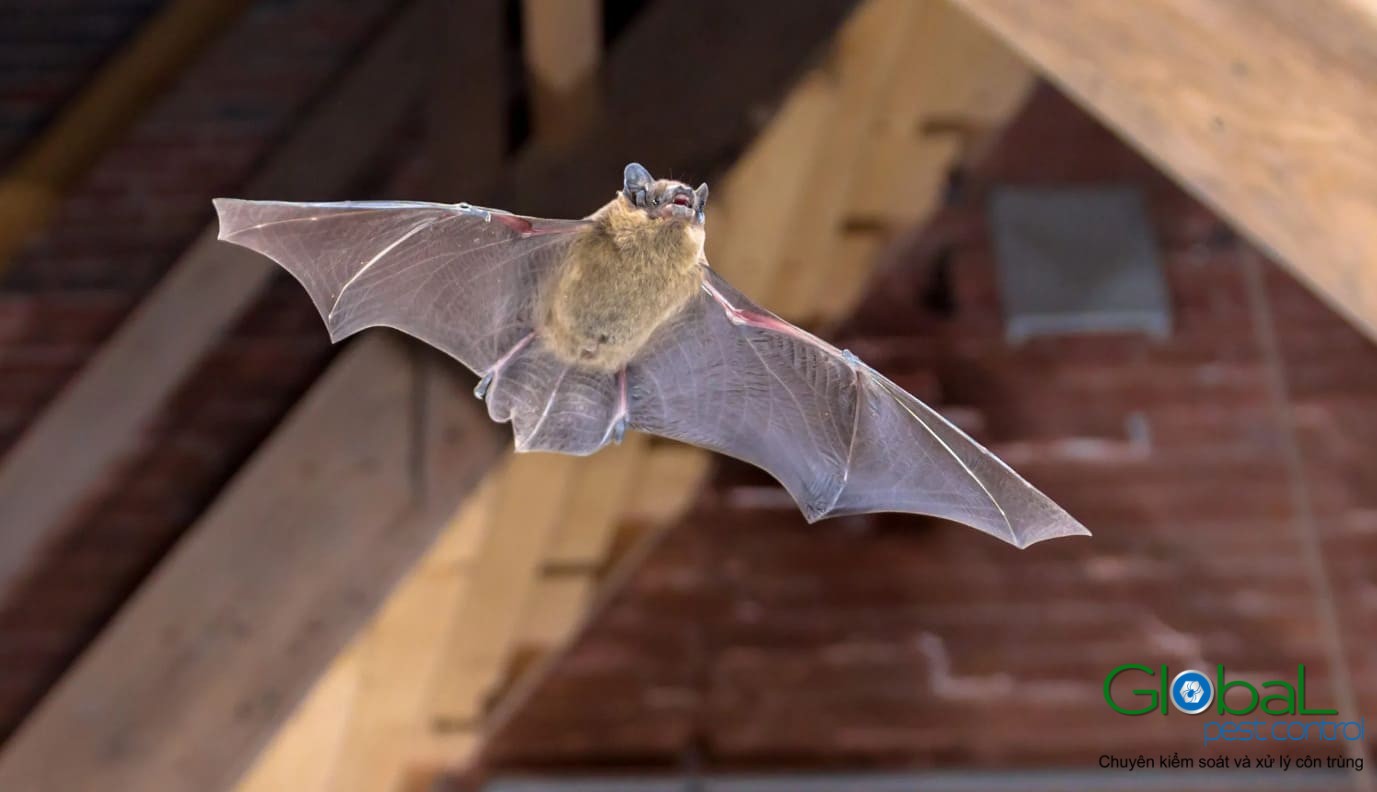 doi bay vao nha diem bao gi1