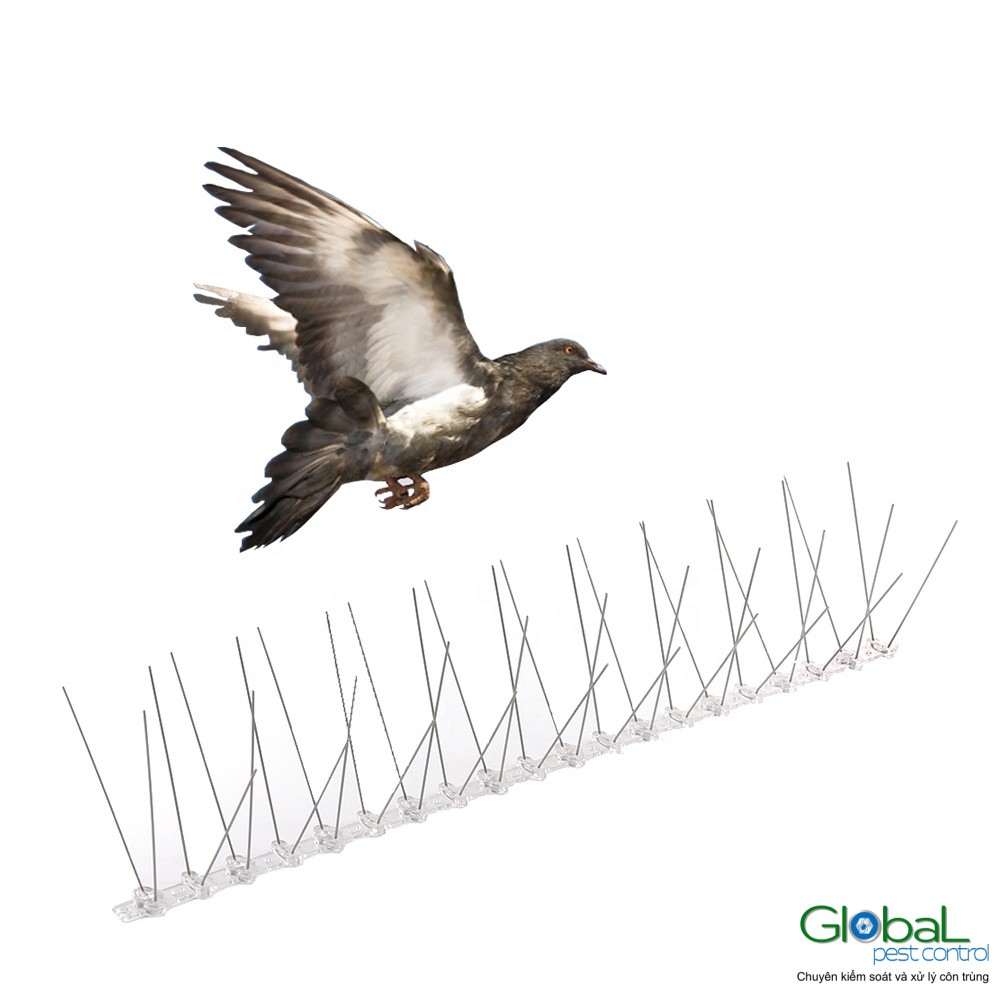 Hfb8a755103d74754be9626185902c7fb5