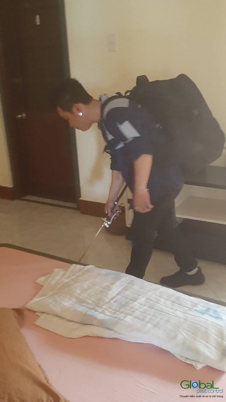 z4236293303572 d293946eed12bce6b305fdb1b016d549