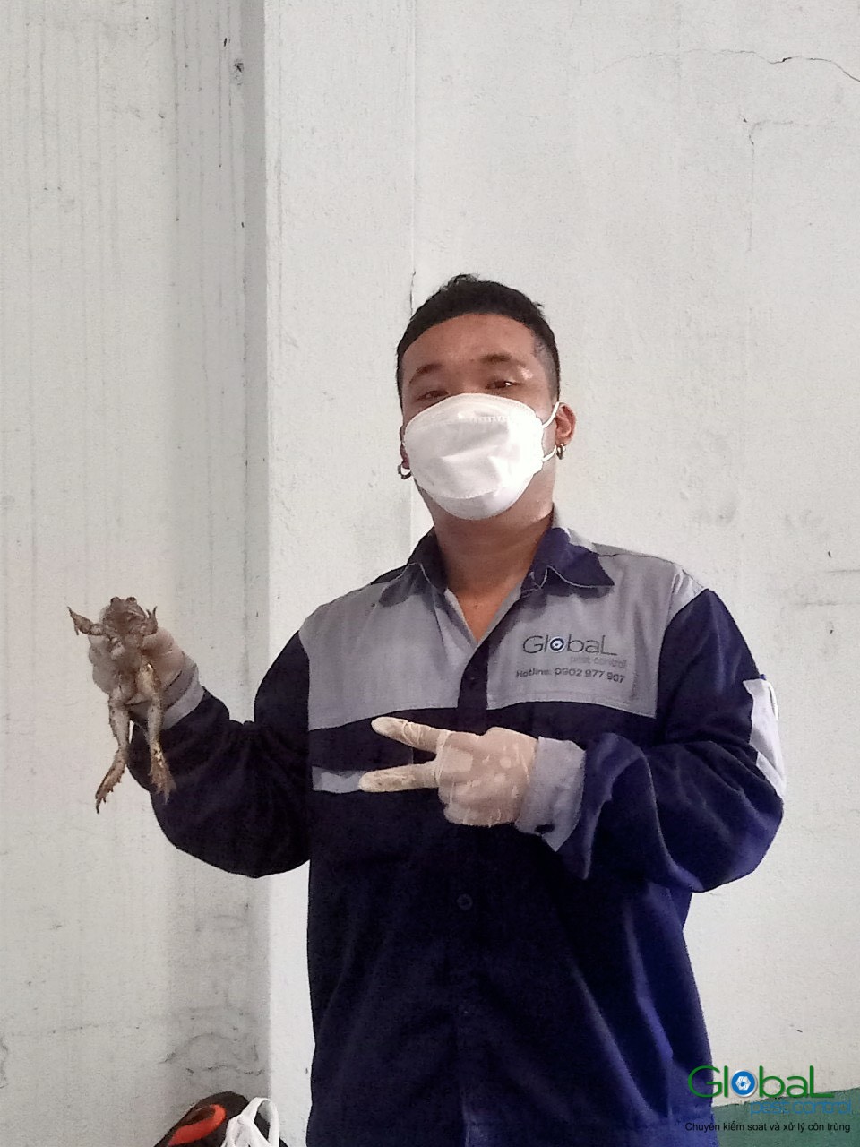 z4254159117690 e521b76a9ce264c02cef025d6d166770