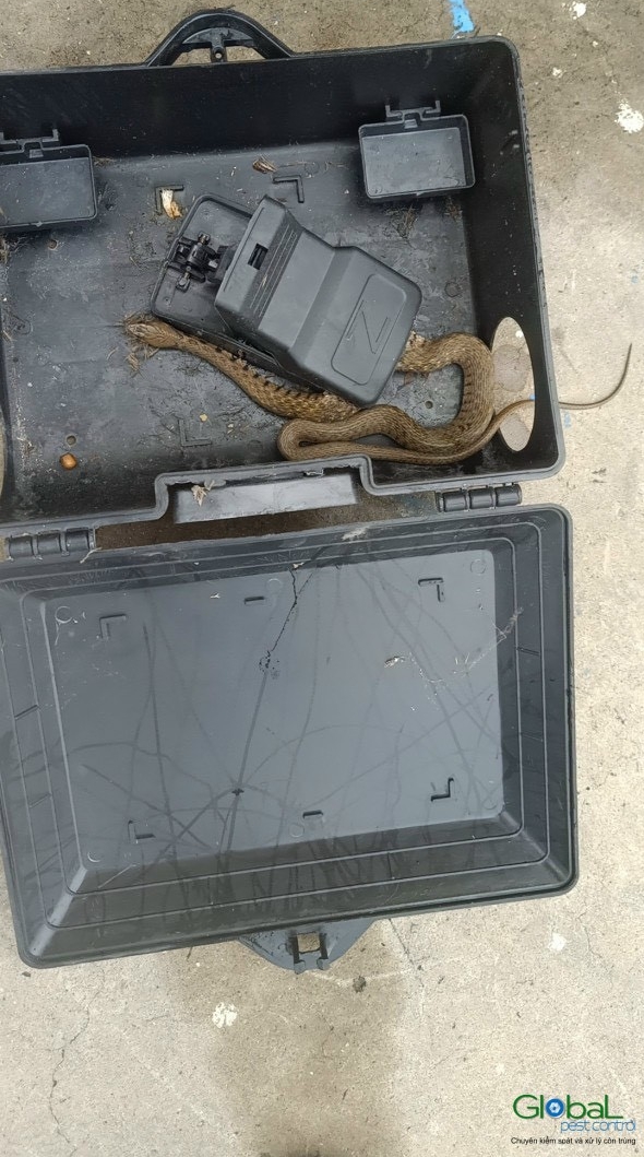 z4254199236465 4e54db7dfb434bc8d3fda7364443d1a2