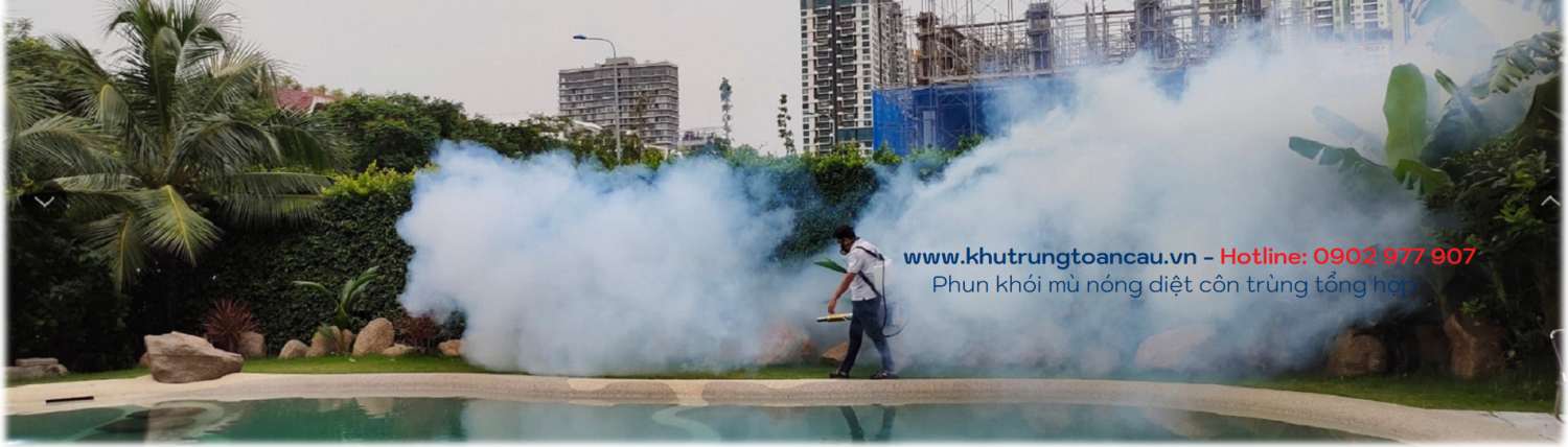 Dịch vụ phun thuốc diệt côn trùng tổng hợp - Phun khói diệt côn trùng
