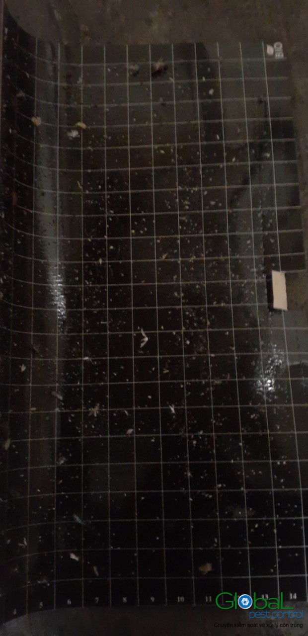 Kiểm tra keo đèn và thay thế định kỳ