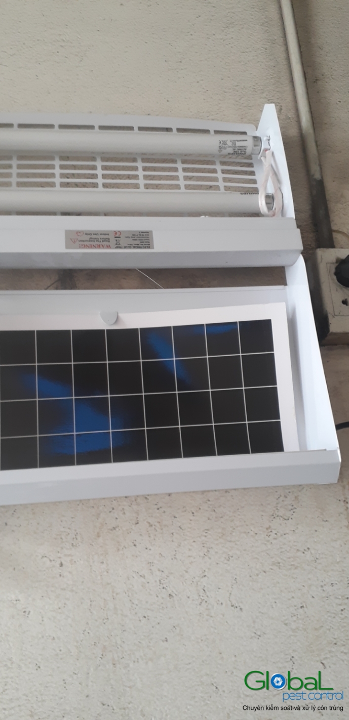 Lắp đặt đèn diệt côn trùng nhà máy sản xuất