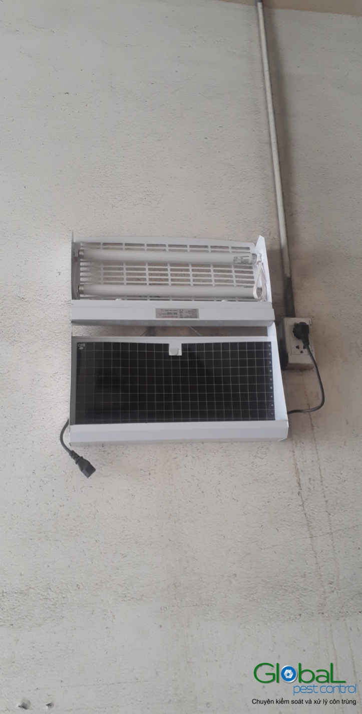 Lắp đặt đèn diệt côn trùng nhà máy sản xuất