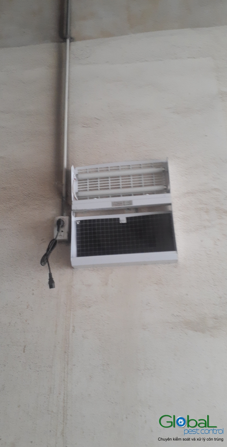 Lắp đặt đèn diệt côn trùng nhà máy sản xuất