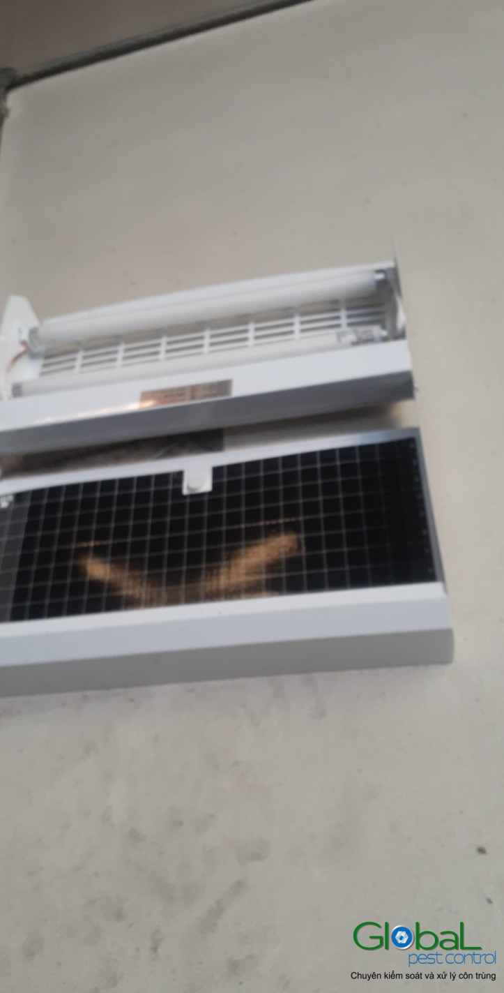 Lắp đặt đèn diệt côn trùng nhà máy thực phẩm