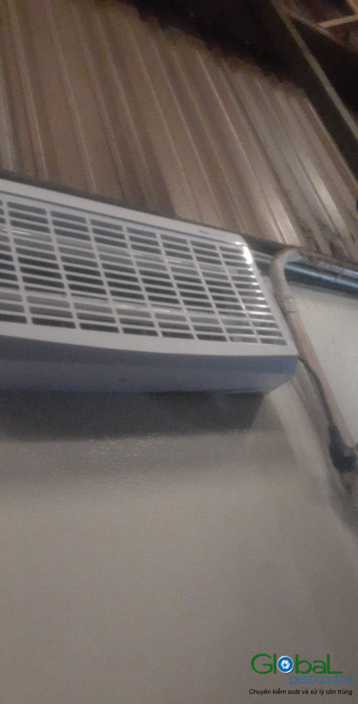 Lắp đặt đèn diệt côn trùng nhà máy thực phẩm