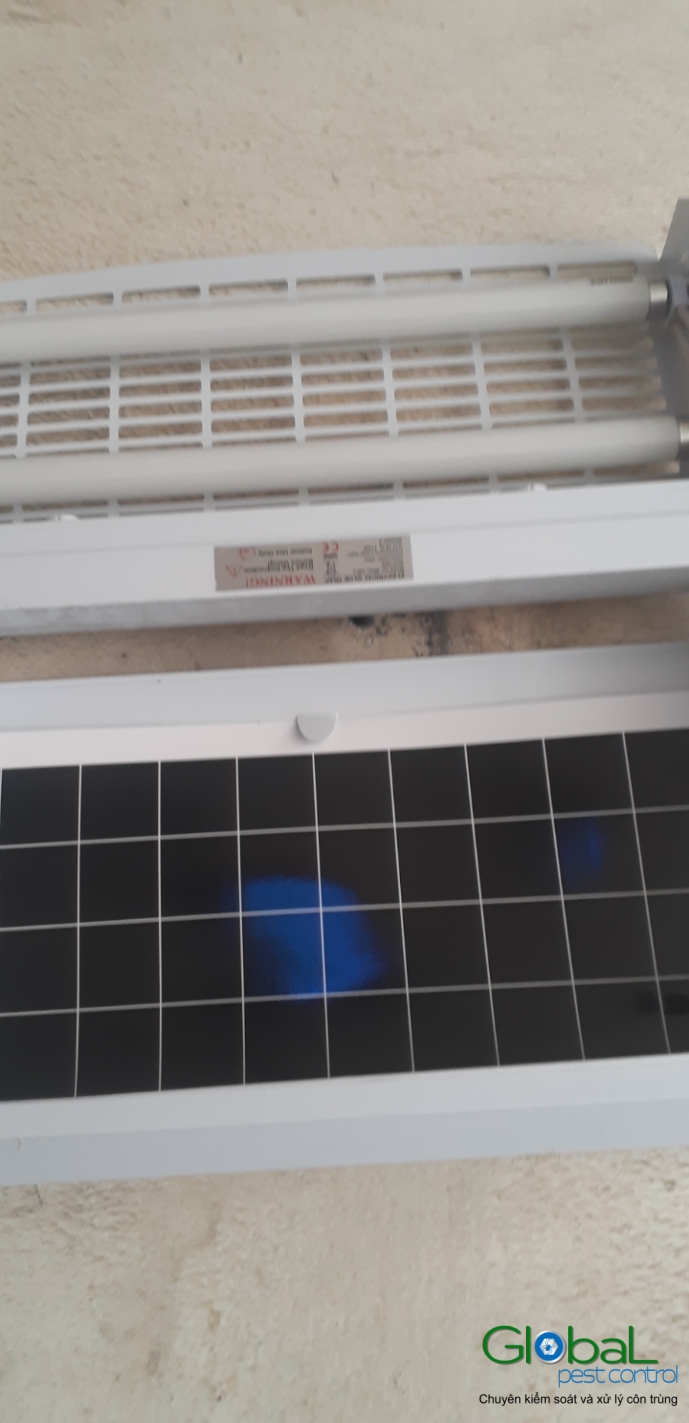 Lắp đặt đèn diệt côn trùng nhà máy thực phẩm