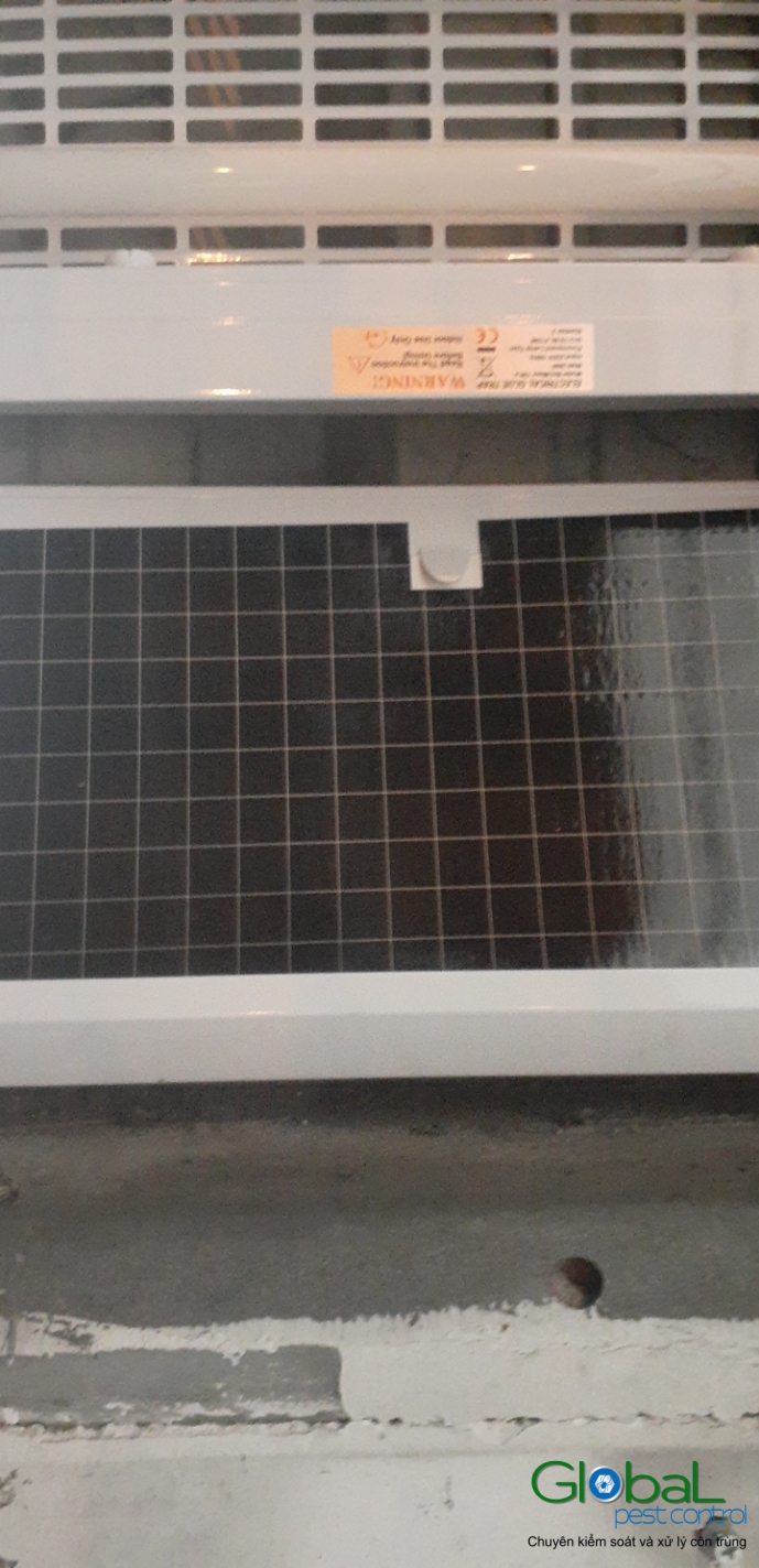 Lắp đặt đèn diệt côn trùng nhà máy thực phẩm