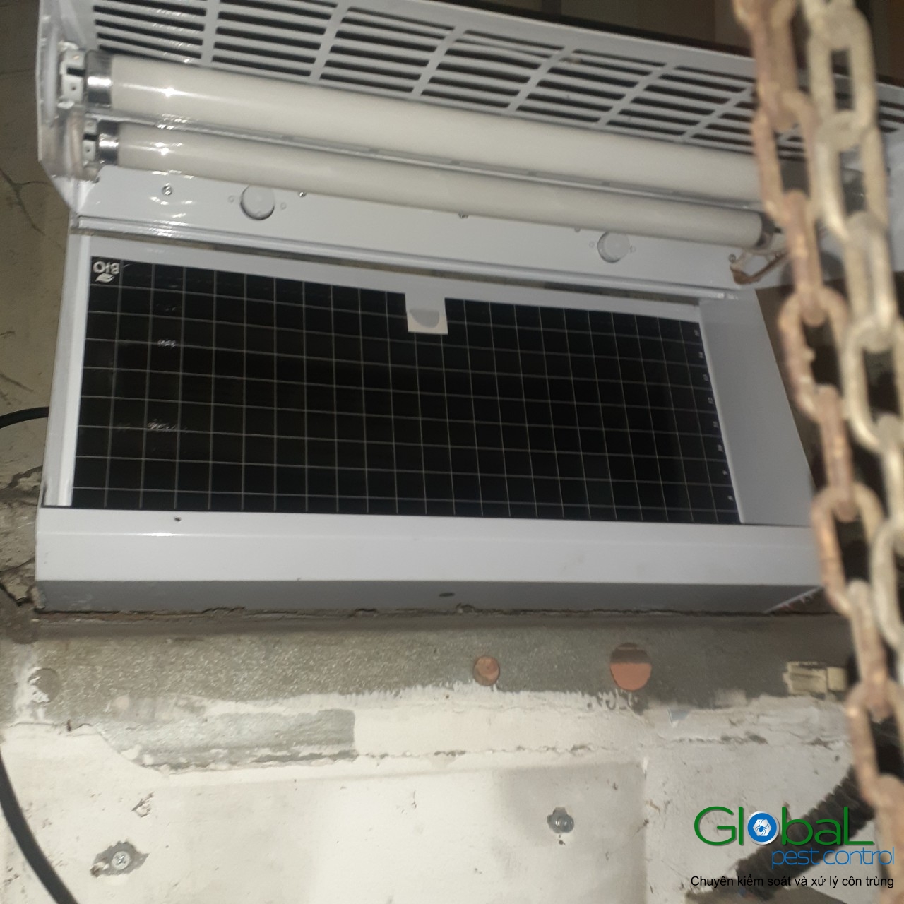 Lắp đặt đèn diệt côn trùng nhà máy thực phẩm