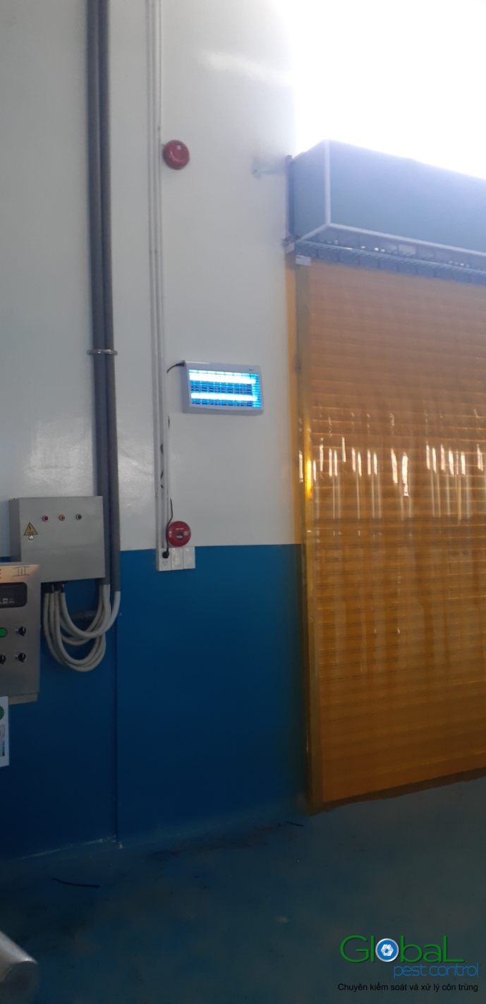 Lắp đặt đèn diệt côn trùng nhà máy thực phẩm