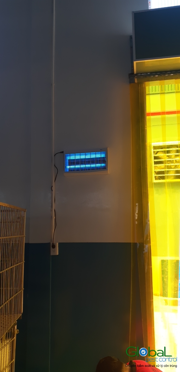 Lắp đặt đèn diệt côn trùng nhà máy thực phẩm