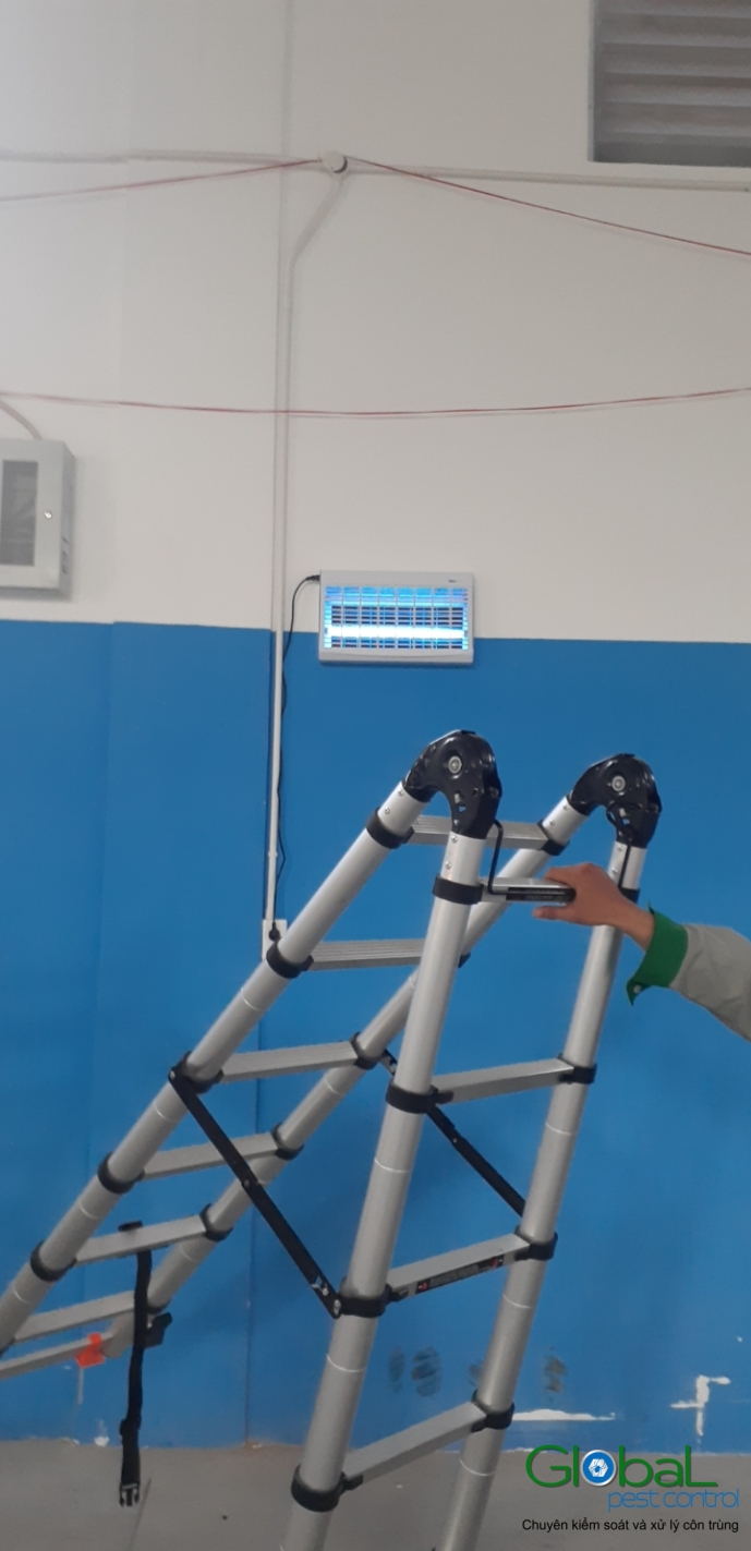 Lắp đặt đèn diệt côn trùng nhà máy thực phẩm
