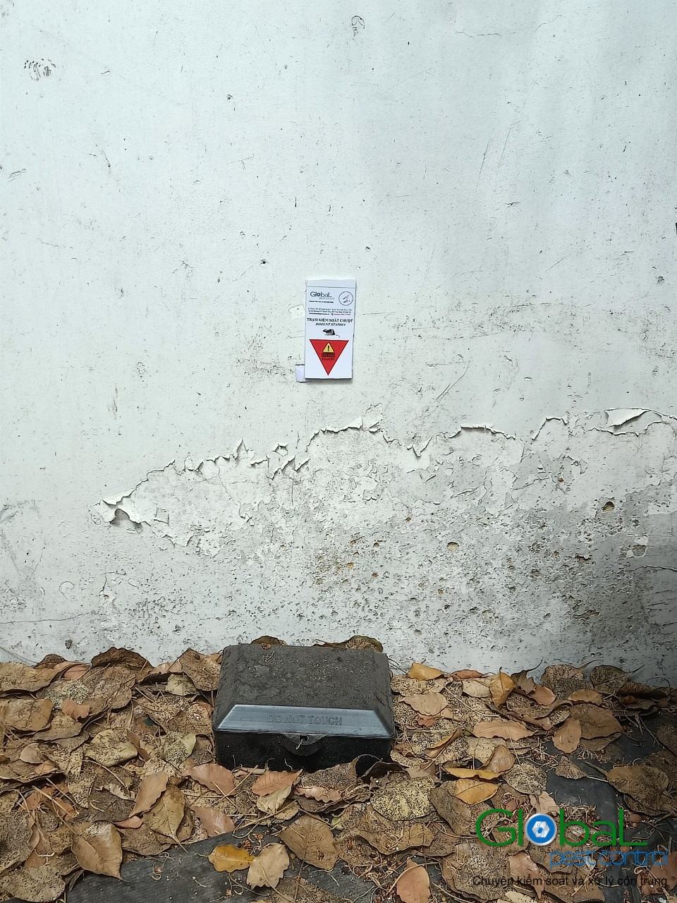 Lắp trạm kiểm soát Chuột