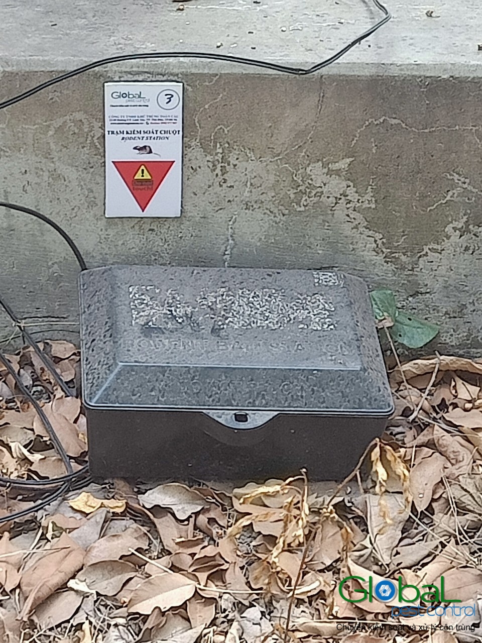 Lắp trạm kiểm soát Chuột