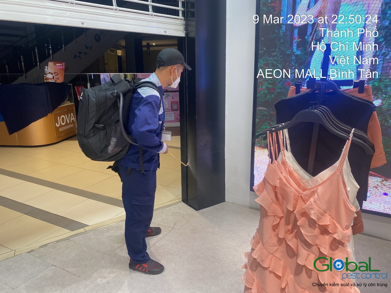 Xử lý và diệt côn trùng