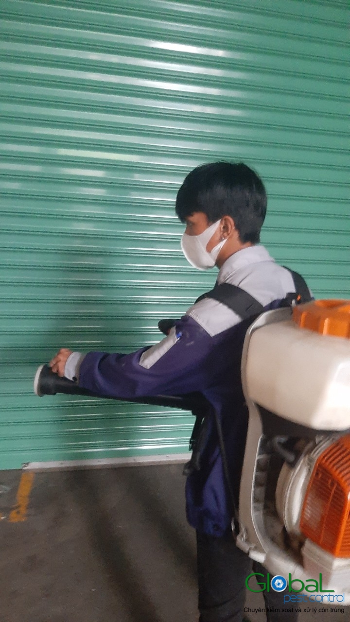 Xử lý và diệt côn trùng