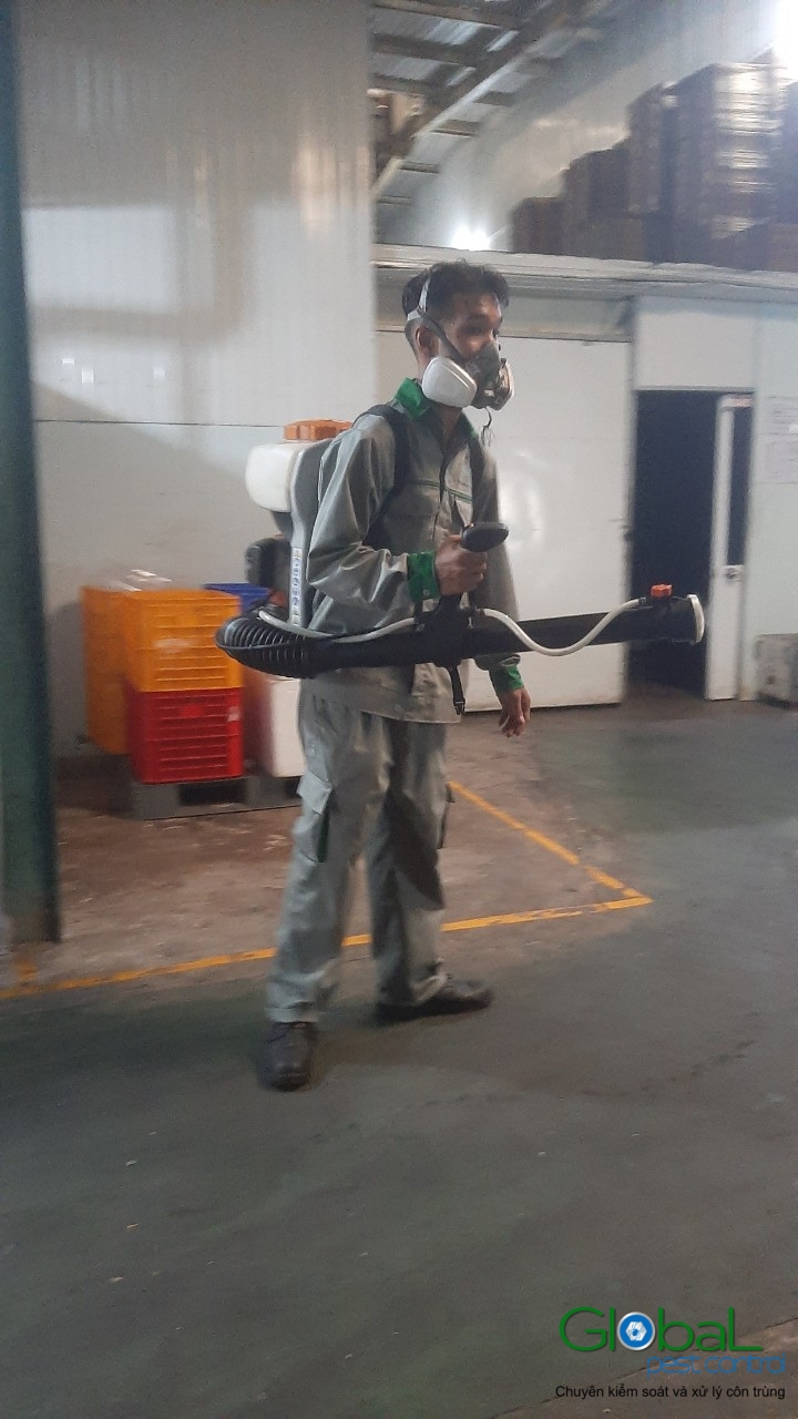 Phun diệt côn trùng định kỳ