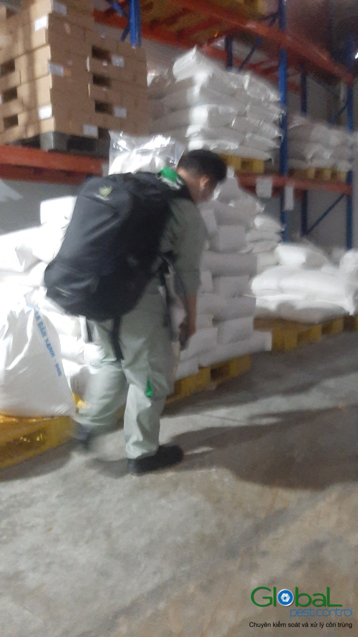 Phun diệt côn trùng định kỳ